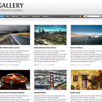 Gallery by WPzoom  