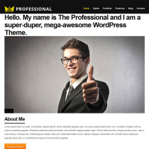 The Professional by ThemeForest