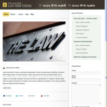 Law Firm by Bizzthemes