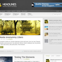 HeadLines by Woothemes