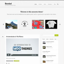 Beveled by Woothemes 