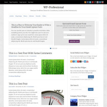 WP-Professional By Solostream
