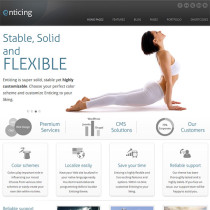 Enticing by ThemeForest