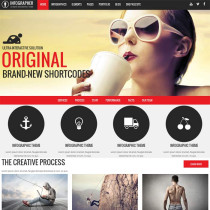 Infographer by ThemeForest