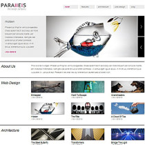 Parallels by Vivathemes