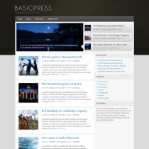 BasicPress by WPCrunchy