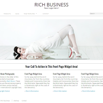Rich Business by RichWP
