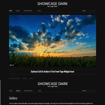 Showcase Dark by RichWP