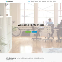 Magnetto by Themeforest