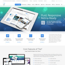 The7 by Themeforest