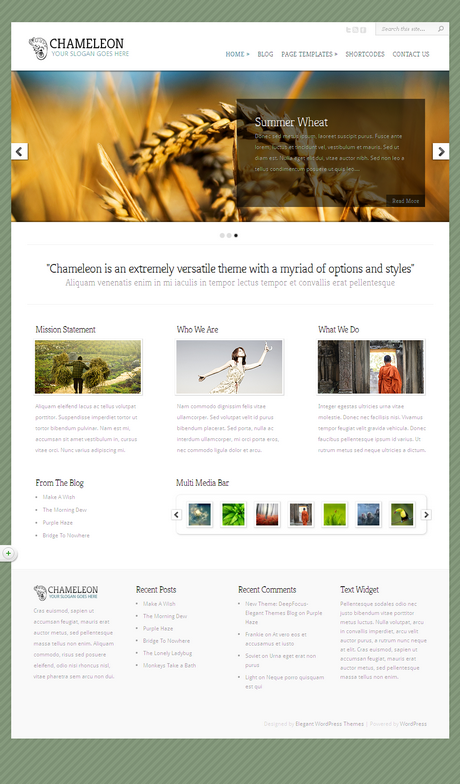 Chameleon by Elegantthemes : Best Premium WordPress Themes of 2020 Edition